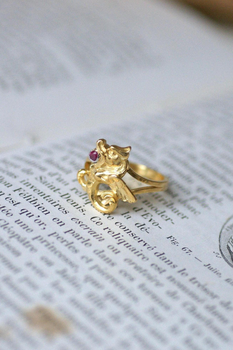 Yellow Gold and Ruby Chimera Ring - Galerie Pénélope