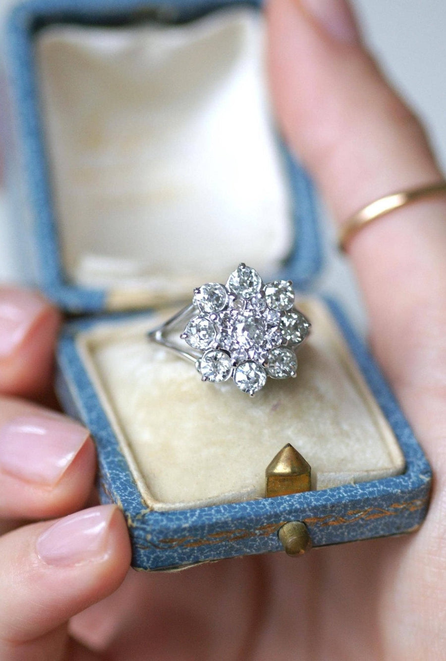 Daisy Ring Diamonds 2.10 Cts White Gold - Galerie Pénélope