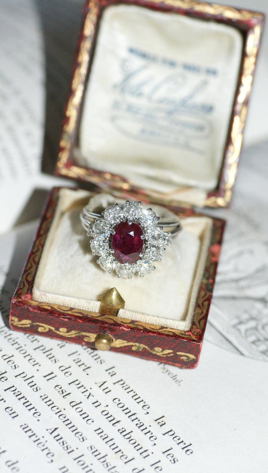 Daisy Ring Unheated Birman Ruby 1.60 Cts and Diamonds - Galerie Pénélope