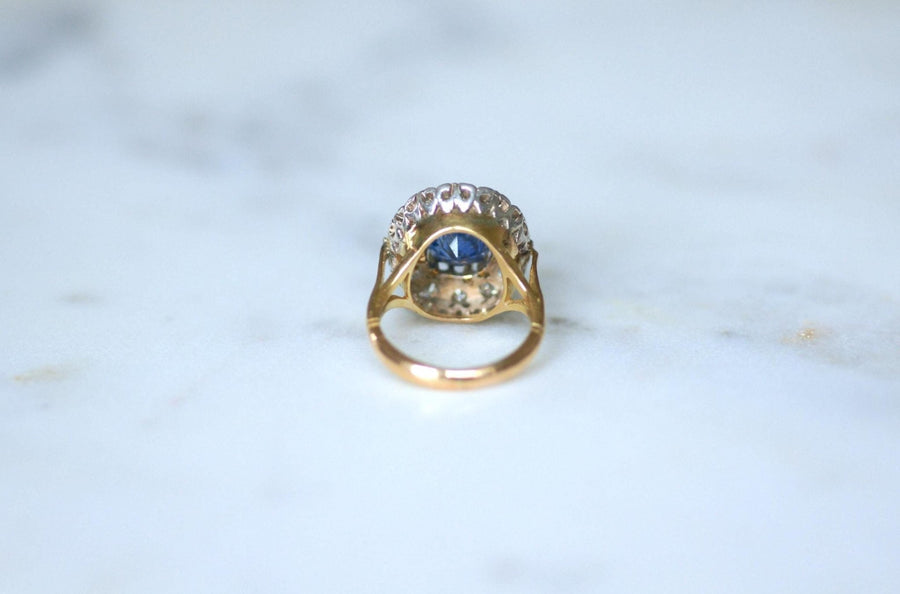 Ceylon Sapphire 4.50 Cts Daisy Ring with Diamonds - Galerie Pénélope