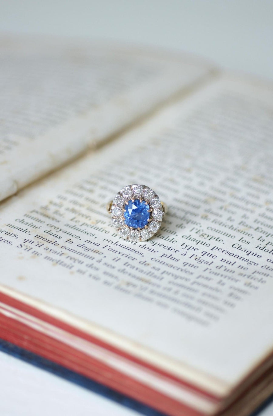 Ceylon Sapphire 4.50 Cts Daisy Ring with Diamonds - Galerie Pénélope