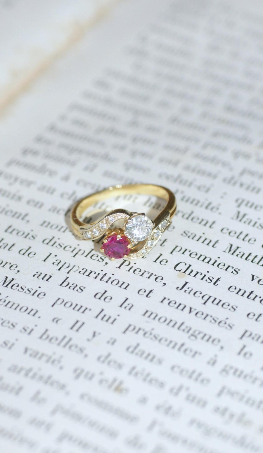 Toi et Moi Birman Ruby and Diamond Ring - Galerie Pénélope