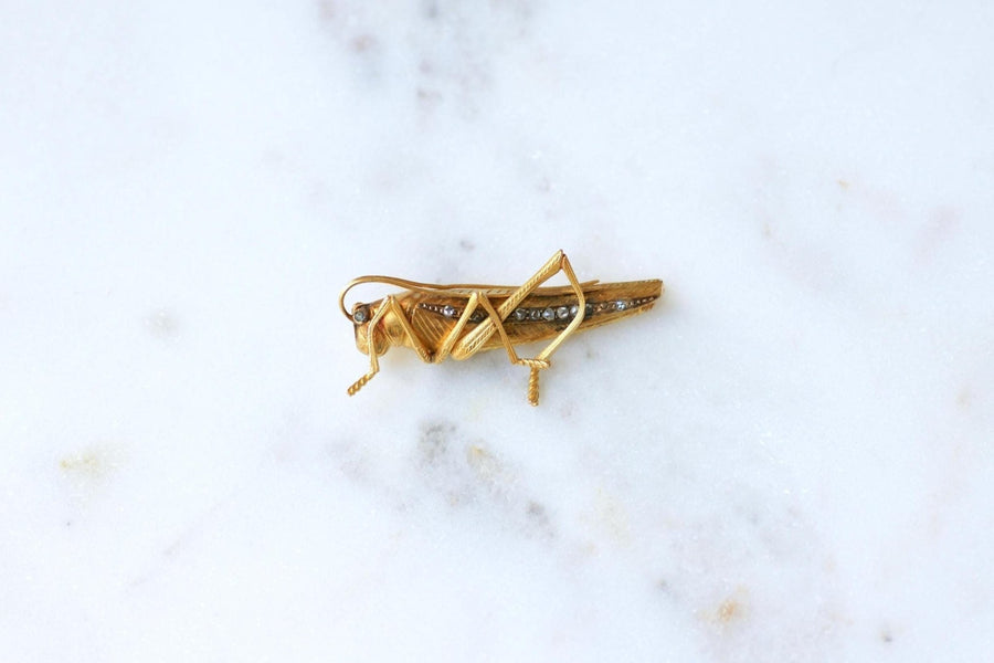 Antique Sauterelle Brooch in Yellow Gold and Diamonds - Galerie Pénélope