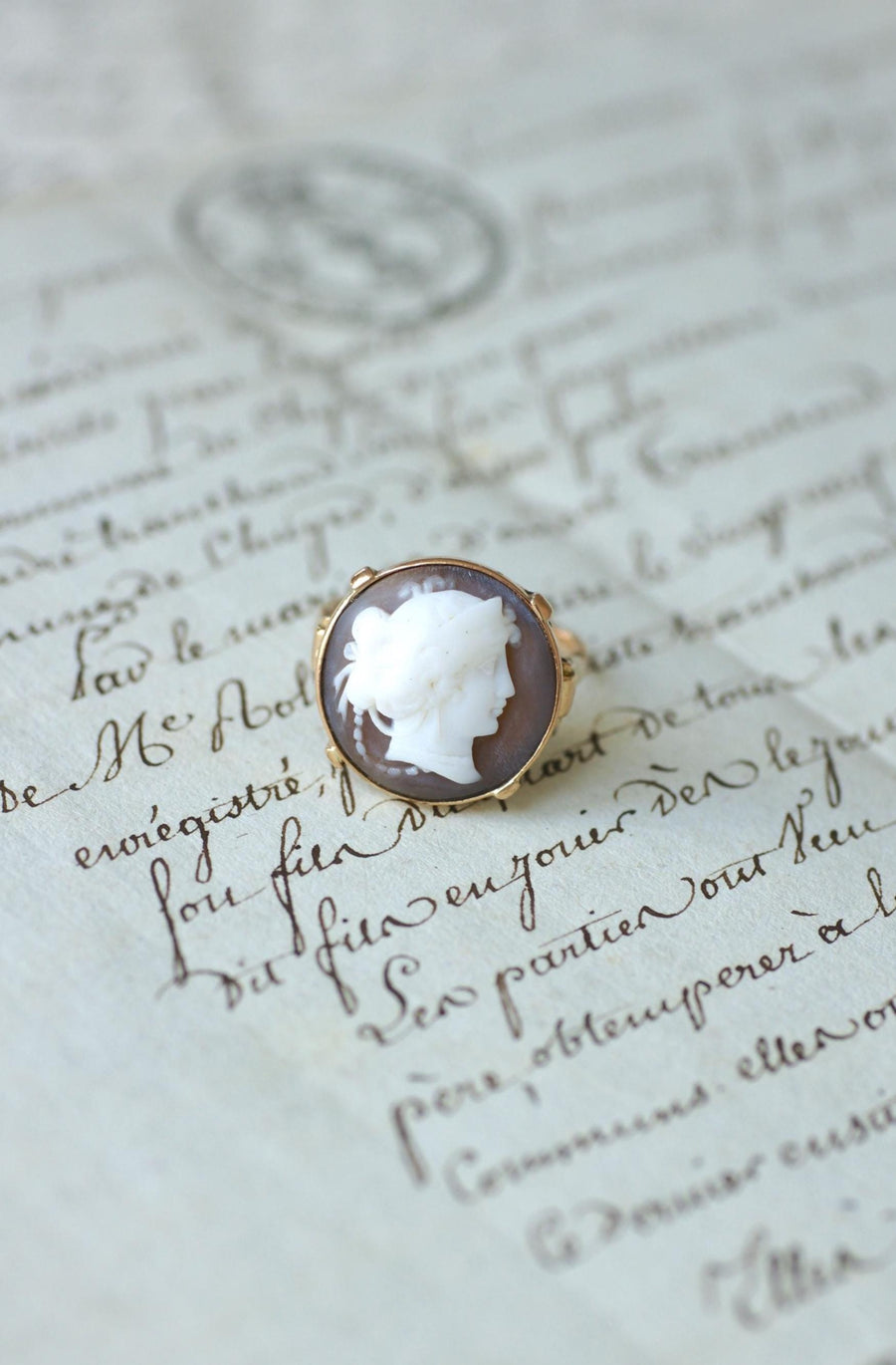 Retro Cameo Shell Ring on Rose Gold