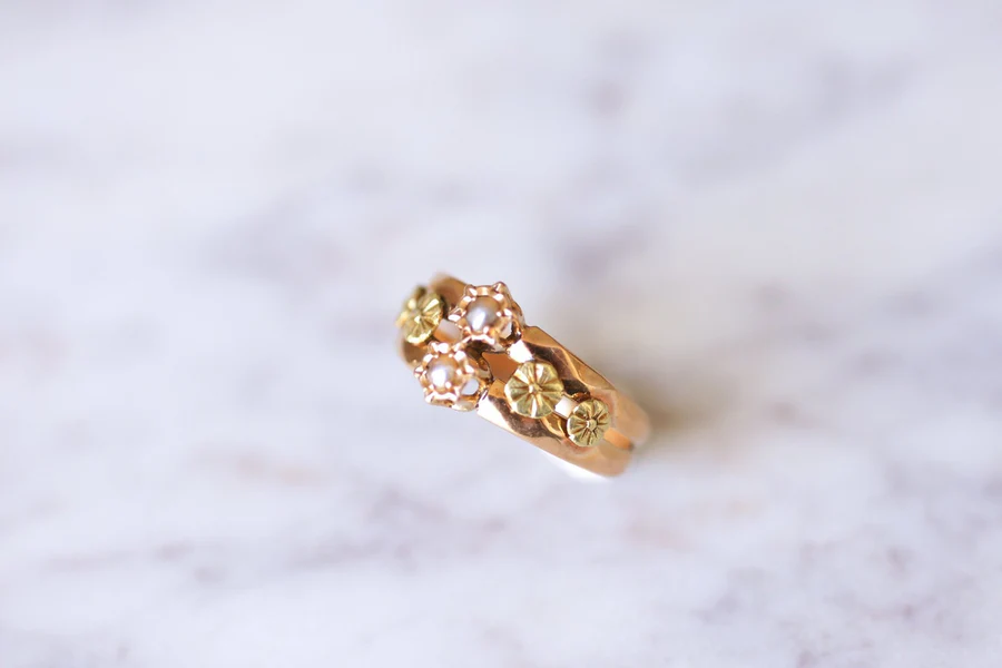 Antique 18Kt Rose and Yellow Gold Double Ring - Galerie Pénélope