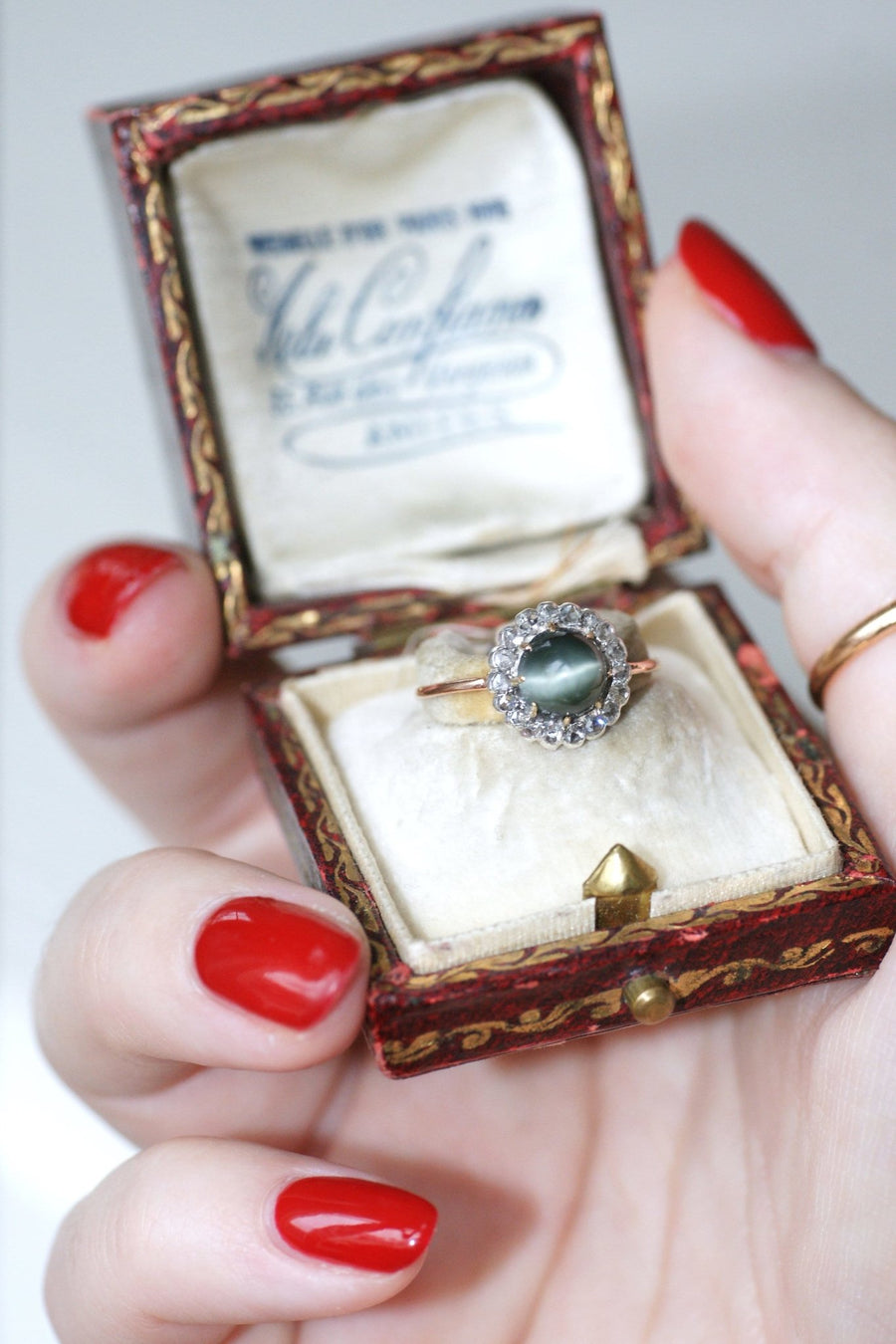 Cat's eye daisy ring - Penelope Gallery