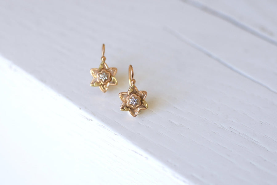 Star sleeper earrings - Penelope Gallery