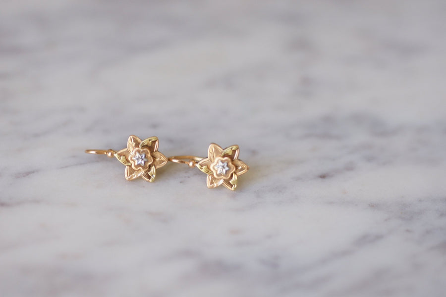 Star sleeper earrings - Penelope Gallery