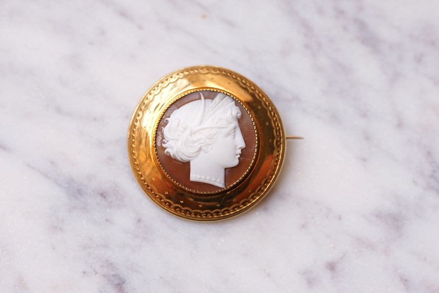 Yellow gold brooch and shell cameo, 19th century - Galerie Pénélope