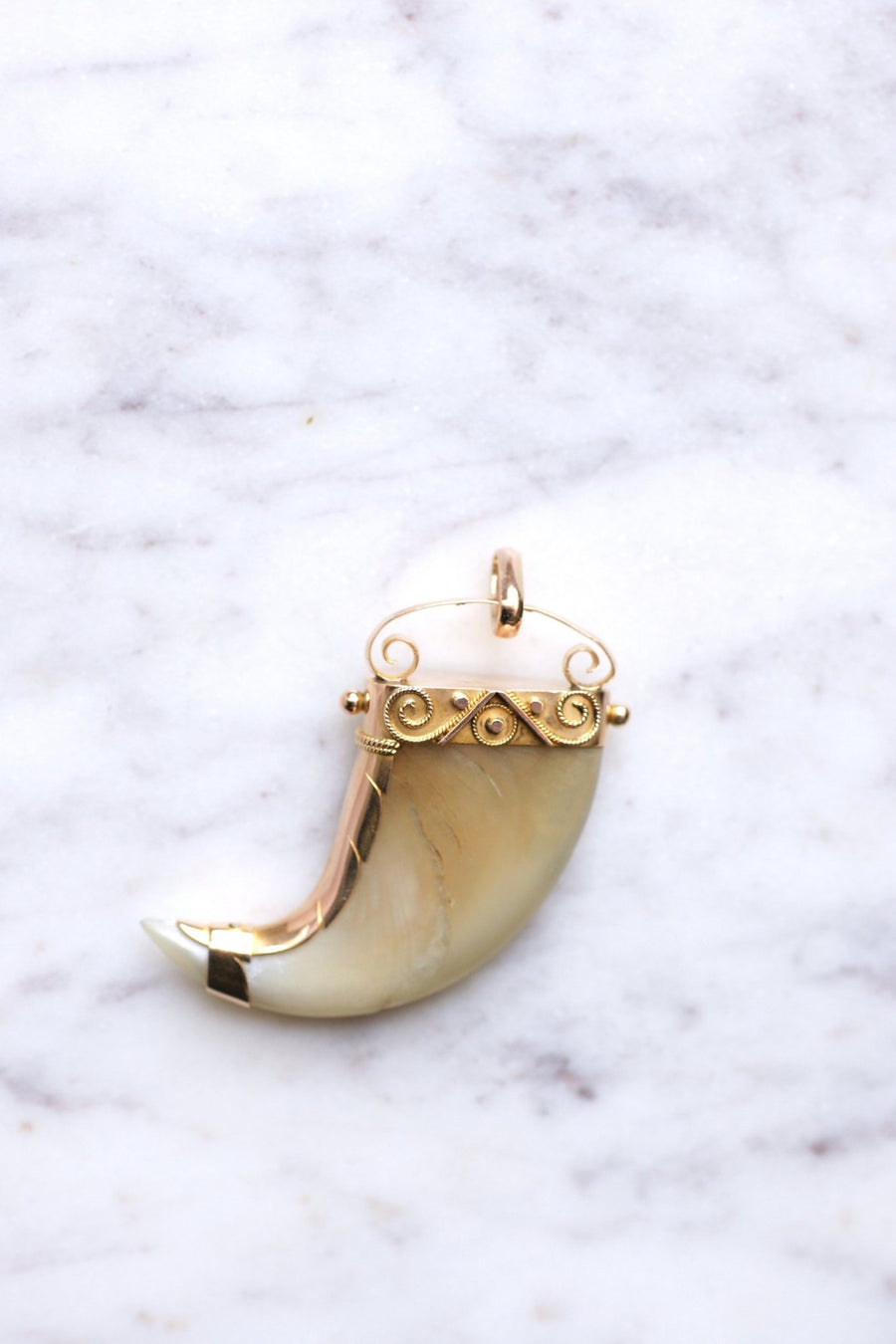 Pendant Victorian Tiger Claw on 14Kt Rose Gold, 19th Century