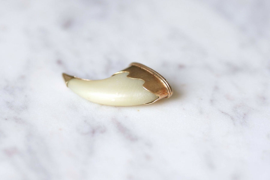 Tiger Claw Victorian Pendant on 9Kt Rose Gold - Galerie Pénélope