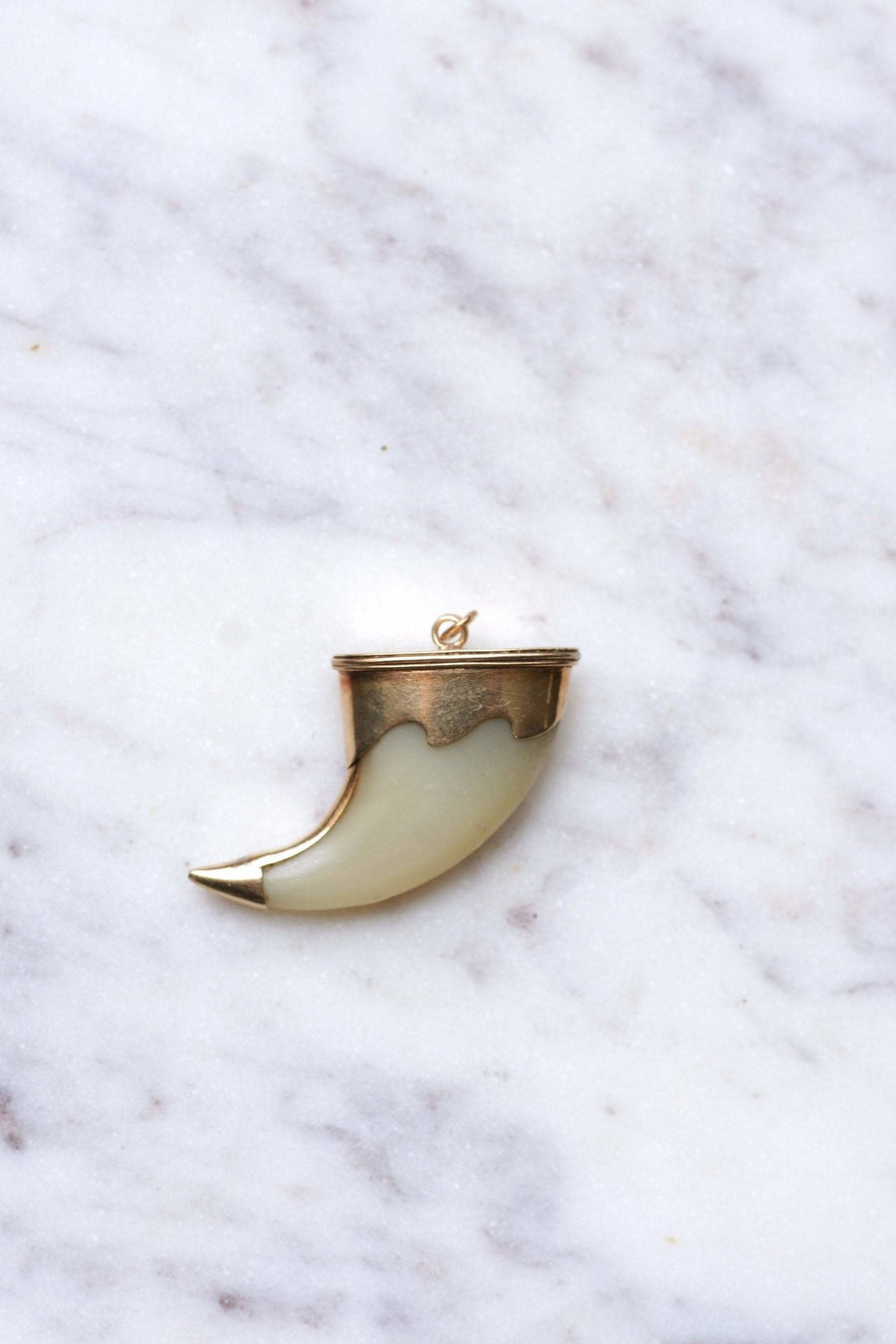 Tiger Claw Victorian Pendant on 9Kt Rose Gold - Galerie Pénélope