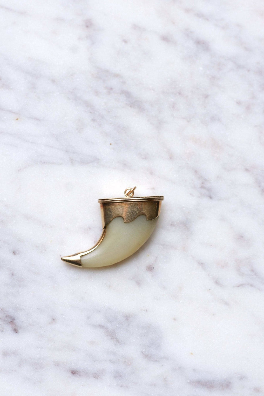 Tiger Claw Victorian Pendant on 9Kt Rose Gold - Galerie Pénélope