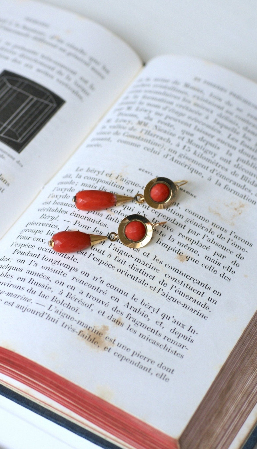 Boucles d'Oreilles Gouttes Corail - Galerie Pénélope