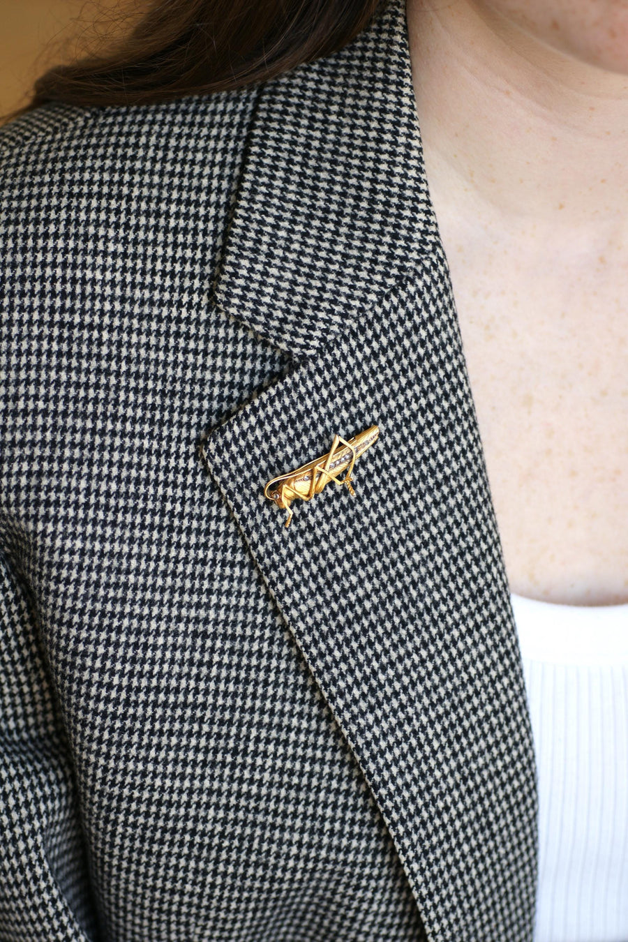Broche Ancienne Criquet Or jaune et Diamants