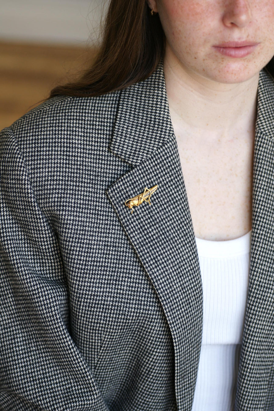 Broche Ancienne Criquet Or jaune et Diamants