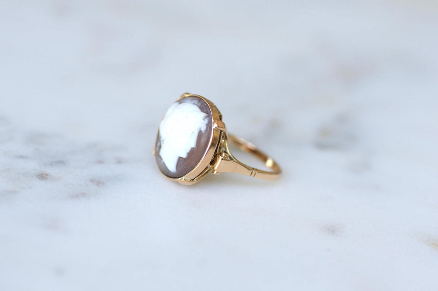 Bague Rétro Camée Coquille sur Or Rose