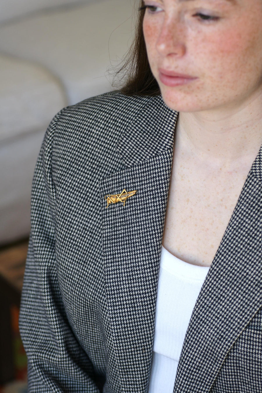 Broche Ancienne Criquet Or jaune et Diamants