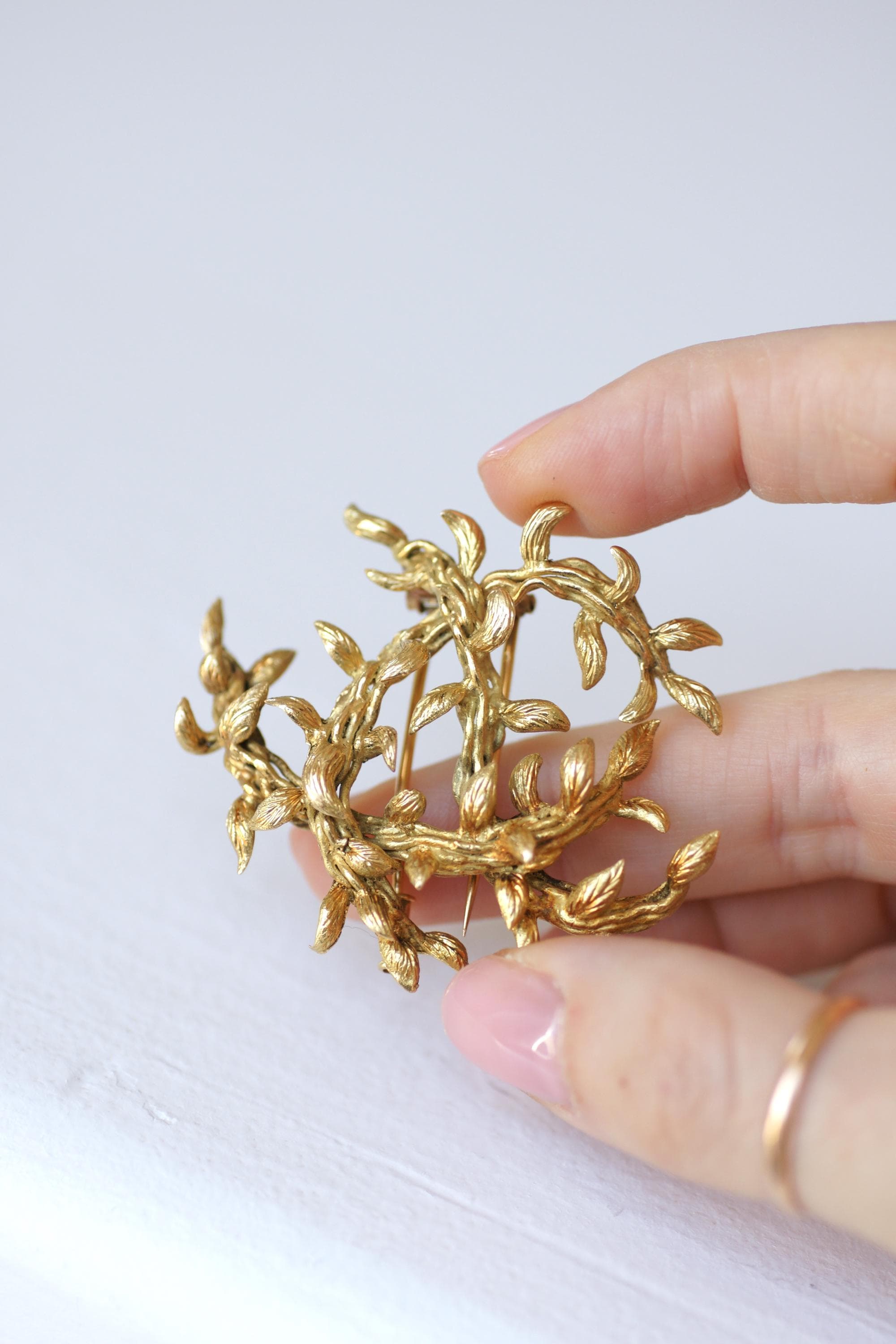 Agrandir