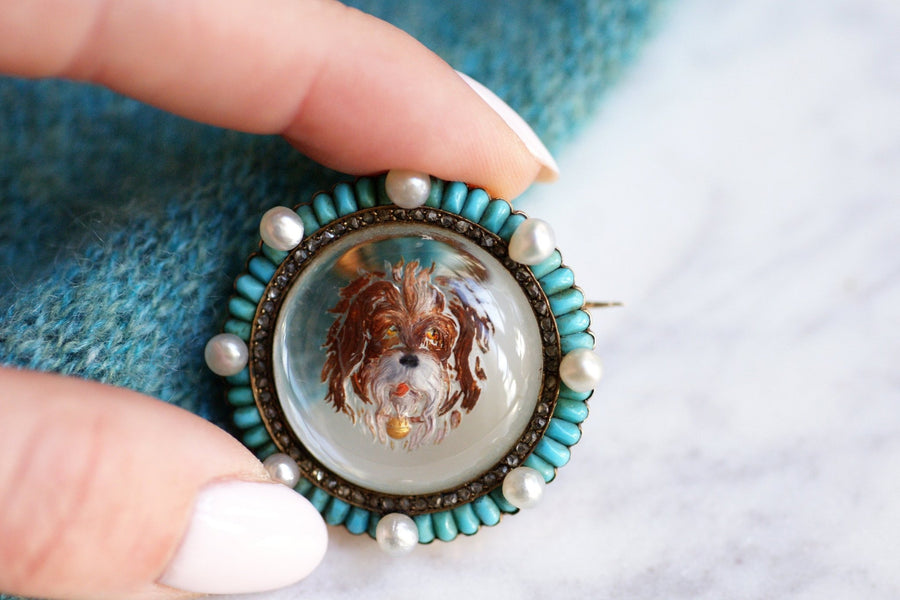 Broche Victorienne en or et fixé sous verre chien diamants turquoises et perles - Galerie Pénélope